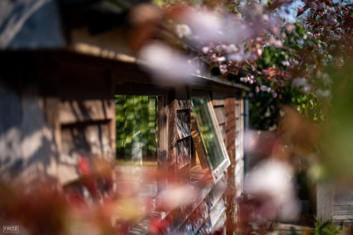 The Tool Shed Nestled In Idyllic Countryside Villa Linchmere Ngoại thất bức ảnh